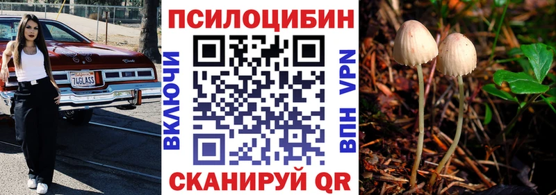 Псилоцибиновые грибы прущие грибы  mega ссылка  Златоуст 